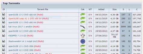 online torrent seeder.